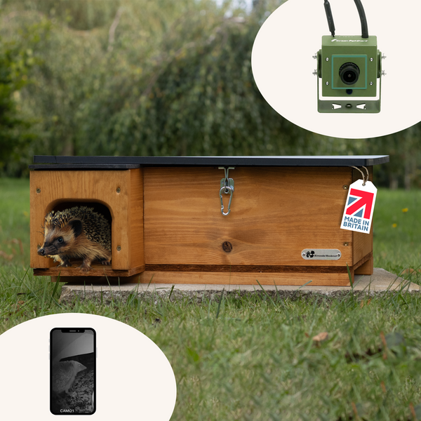 Riverside Woodcraft Golden Brown Hedgehog House With Camera Bundle