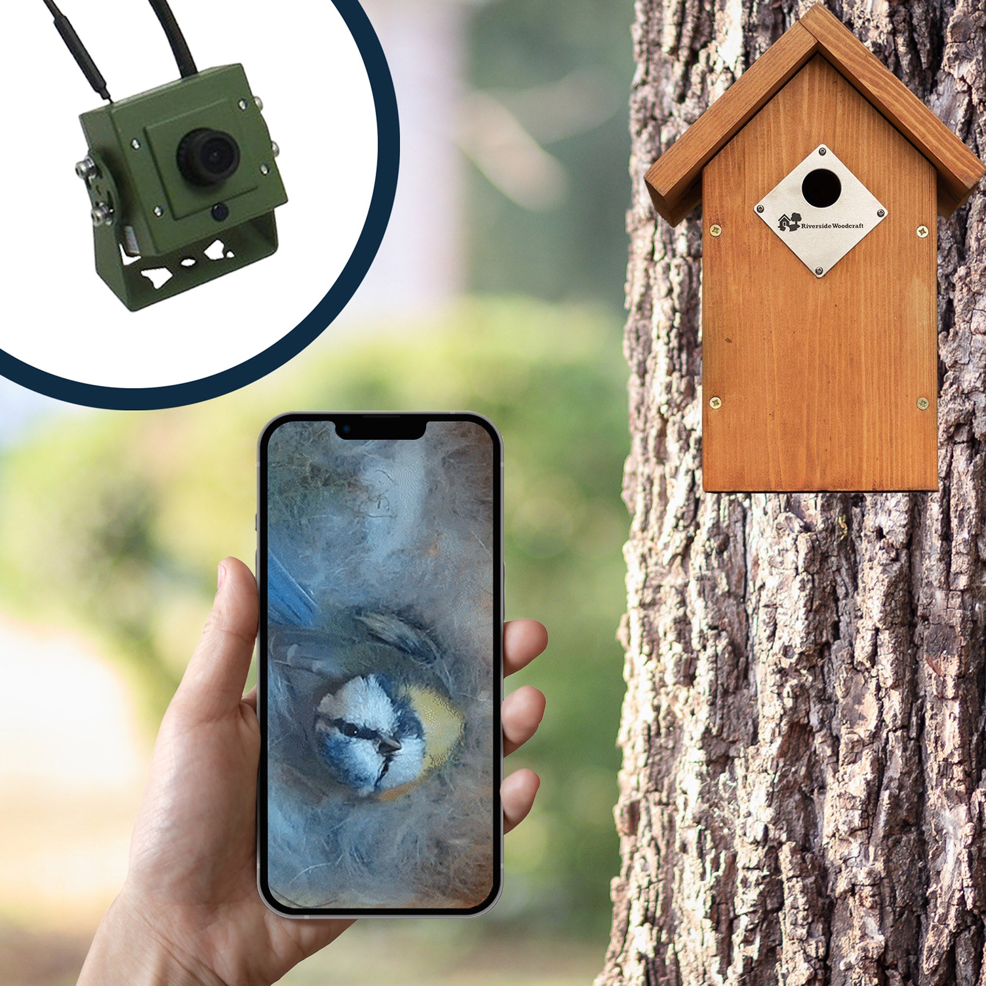 Bird box sale security camera