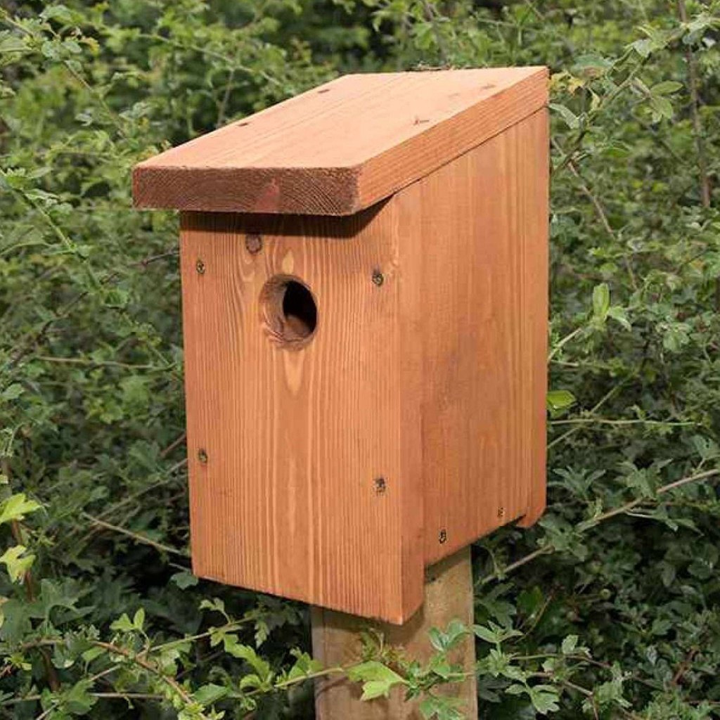 Riverside Woodcraft Multi Species Nest Box – RiversideWoodcraft